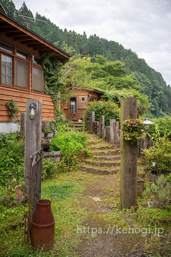 カフェ,JuneBerry,ジューンベリー,福岡県朝倉郡東峰村,猫