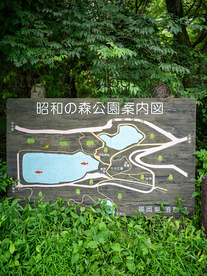 昭和の森公園,守母神社,糟屋郡須恵町