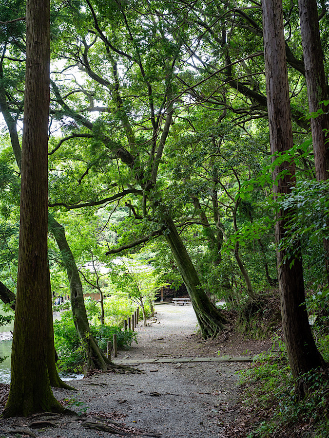 昭和の森公園,守母神社,糟屋郡須恵町