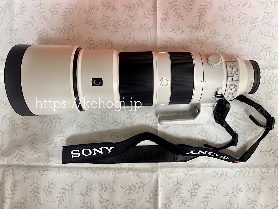 超望遠レンズ Sony SEL200600G(FE 200-600mm F5.6-6.3 G OSS )
