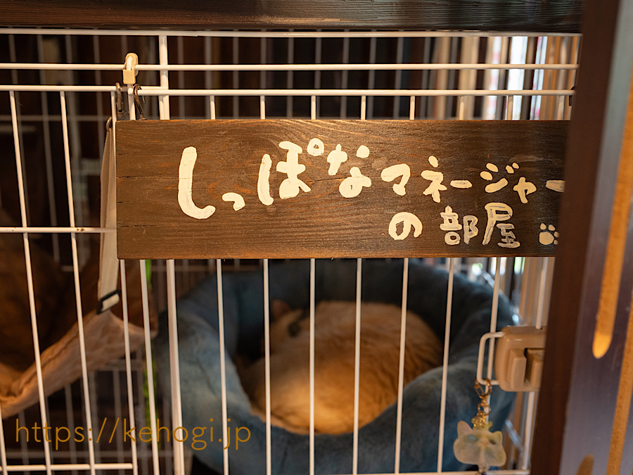 コーヒーとカレーのお店 Baum 福岡県飯塚市 カフェ 猫