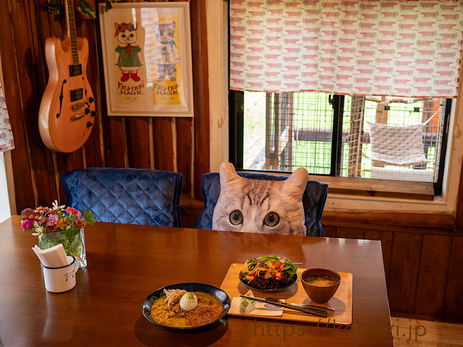 コーヒーとカレーのお店 Baum 福岡県飯塚市 カフェ