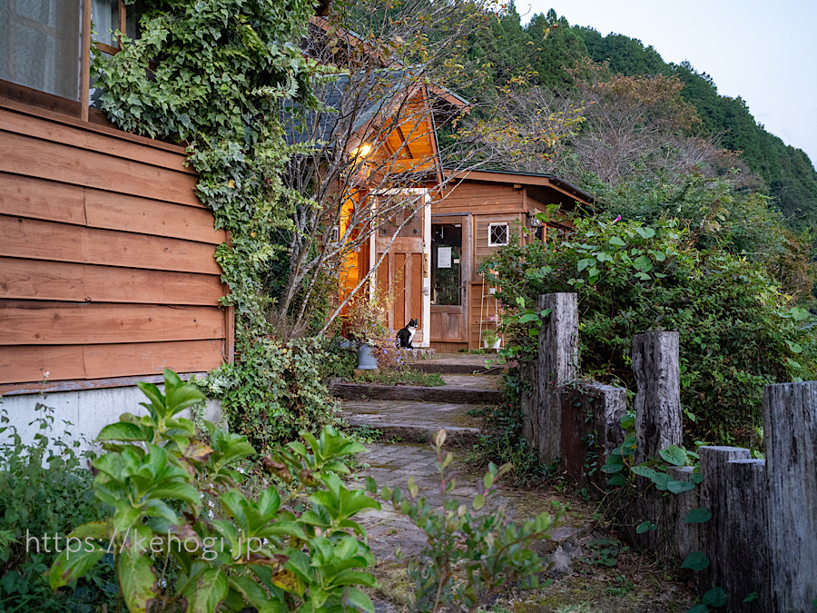 カフェ,cafe,juneberry,ジューンベリー,福岡県朝倉郡東峰村,猫