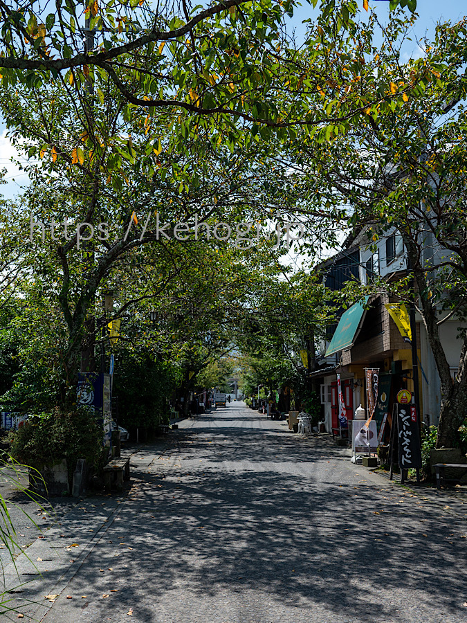 熊本県阿蘇市,阿蘇山,阿蘇神社,門前町商店街