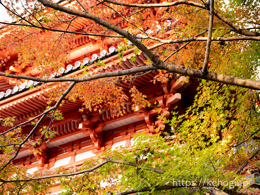 紅葉,侘び寂び,清水寺,福岡県みやま市