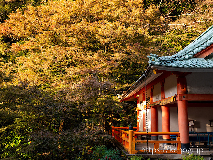 紅葉,侘び寂び,清水寺,福岡県みやま市