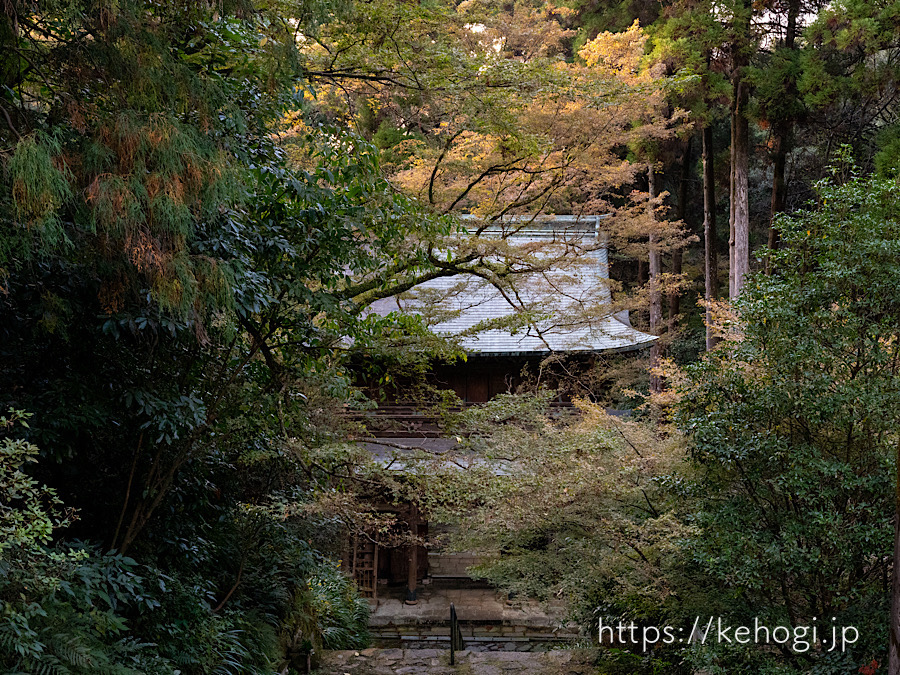 紅葉,侘び寂び,清水寺,福岡県みやま市,千手観音様,石段,楼門