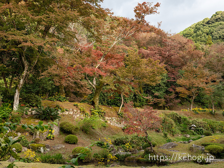 紅葉,侘び寂び,清水寺,福岡県みやま市,本坊庭園