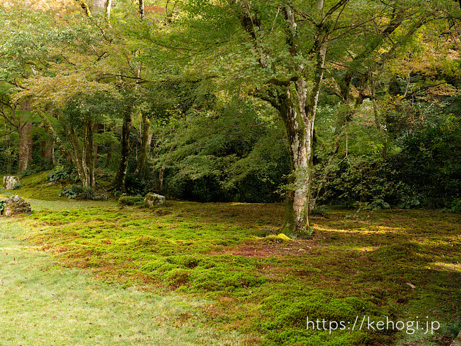 紅葉,侘び寂び,清水寺,福岡県みやま市,本坊庭園