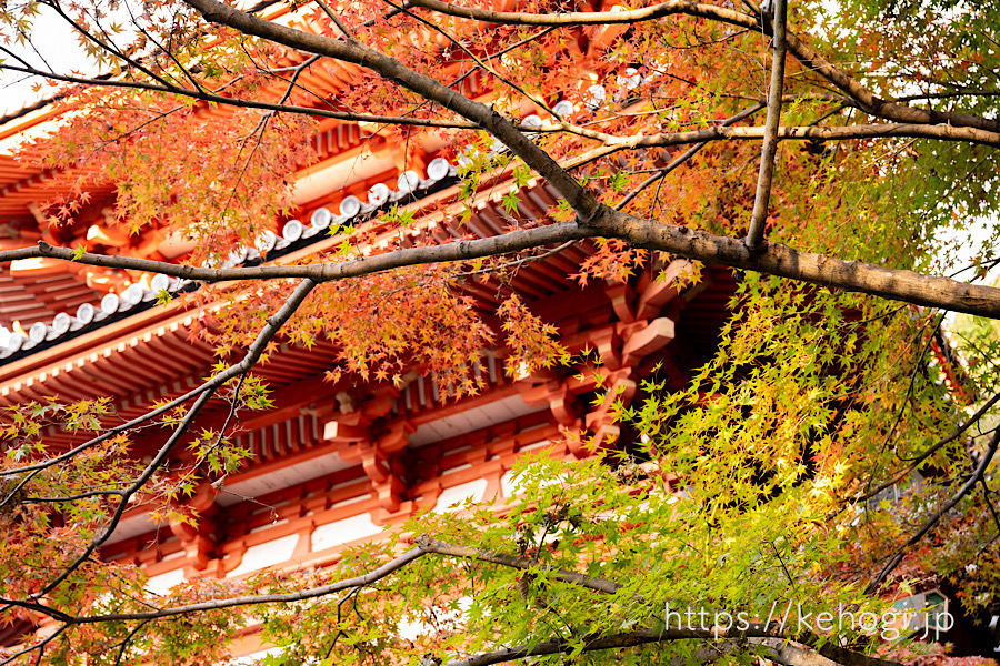 紅葉そして侘び寂び：清水寺|福岡県みやま市