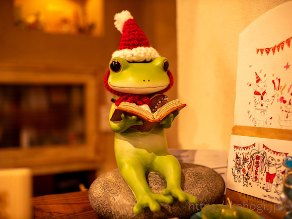 カエル,X'mas,クリスマス,Café TREE FROG,カフェ ツリーフロッグ,福岡県春日市