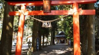 光射す森,静かに佇む：乙姫神社|熊本県阿蘇市|阿蘇山