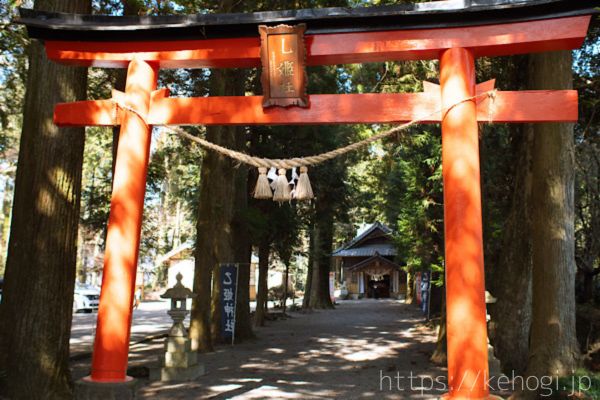 光射す森,静かに佇む：乙姫神社|熊本県阿蘇市|阿蘇山