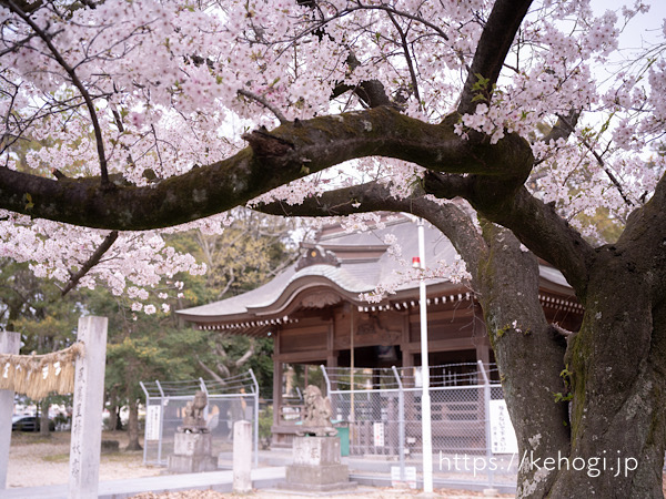 福岡県,春日市,白水神社,白水八幡宮