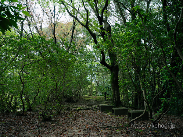 福岡県筑紫野市,天拝山,天拝歴史自然公園