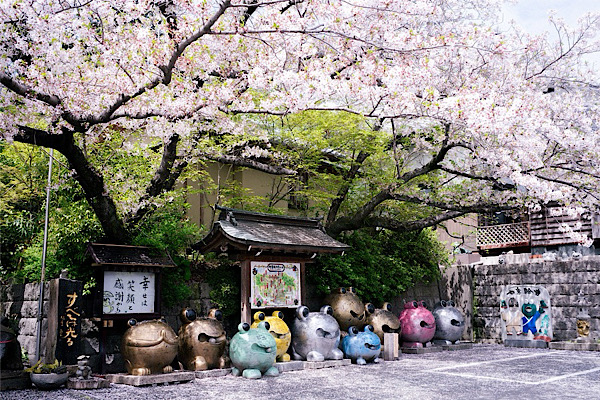 桜と風鈴,春と初夏の光景：かえる寺(如意輪寺)|福岡県小郡市