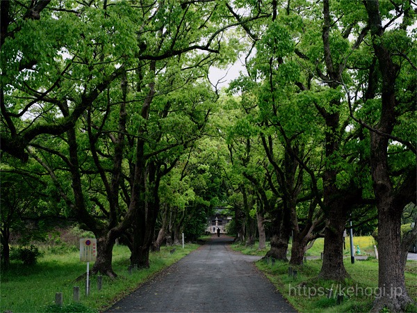 福岡県太宰府市,観世音寺