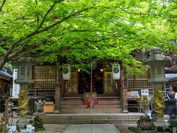 福岡県小郡市,如意輪寺,かえる寺,新緑