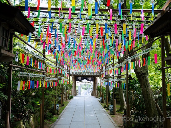 福岡県小郡市,如意輪寺,かえる寺,風鈴