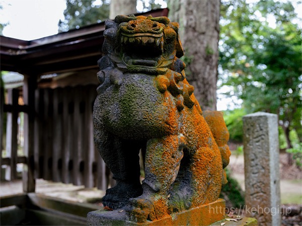 筑紫神社,福岡県筑紫野市,参道,狛犬
