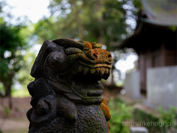 筑紫神社,福岡県筑紫野市,参道,狛犬