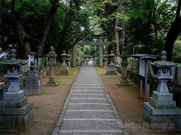 筑紫神社,福岡県筑紫野市,鳥居,参道