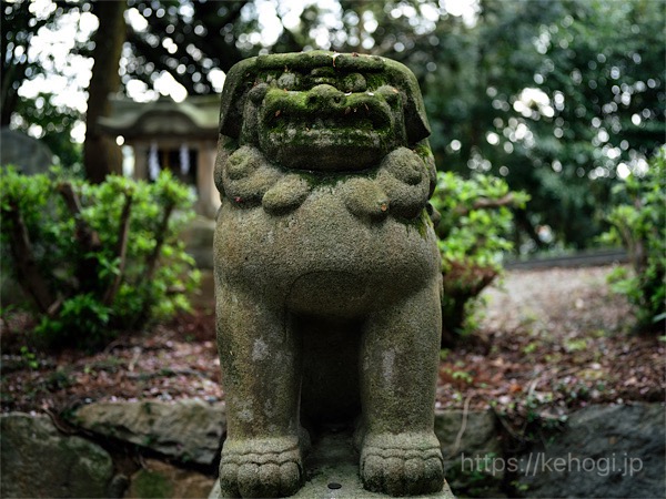 筑紫神社,福岡県筑紫野市,参道,狛犬