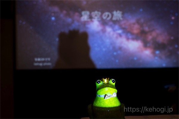 【イベント報告・星空の旅2024】Café TREE FROG(カフェ ツリーフロッグ)|福岡県春日市